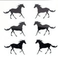 thumbnail image 3 of Confetti Horse Black - Pouch (1/2 oz) - CCP8973, 3 of 8