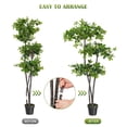 thumbnail image 7 of Danolapsi 5ft Artificial Olive Tree, Faux Plants Indoor with 50 Led Lights, 8 Lighting Modes,Artificial Plants with for Home Office Decor, 7 of 7