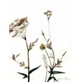 thumbnail image 2 of Goldberger, Jennifer 20x24 White Modern Wood Framed Museum Art Print Titled - Watermark Wildflowers I, 2 of 4