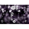 thumbnail image 2 of Telik, Tracey 14x11 Gold Ornate Wood Framed with Double Matting Museum Art Print Titled - Bubbly, 2 of 4