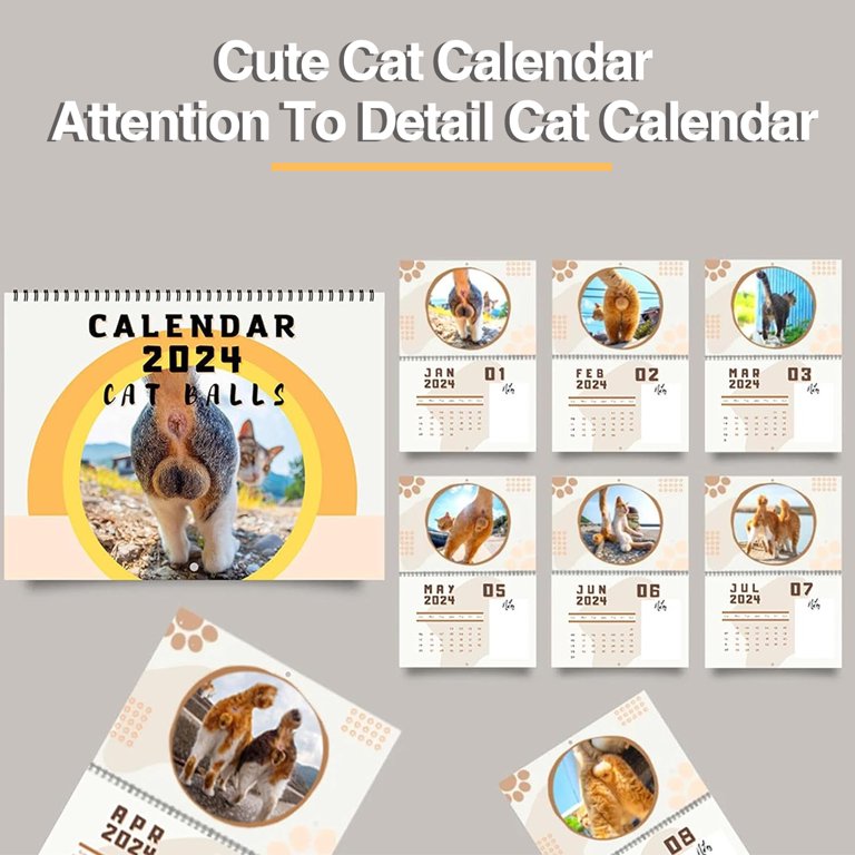 Bluelans 2024 Cats Buttholes Calendar Adorable Cat Figures with Empty Space  Planner Making Creative Monthly Cat Calendar - Walmart.com
