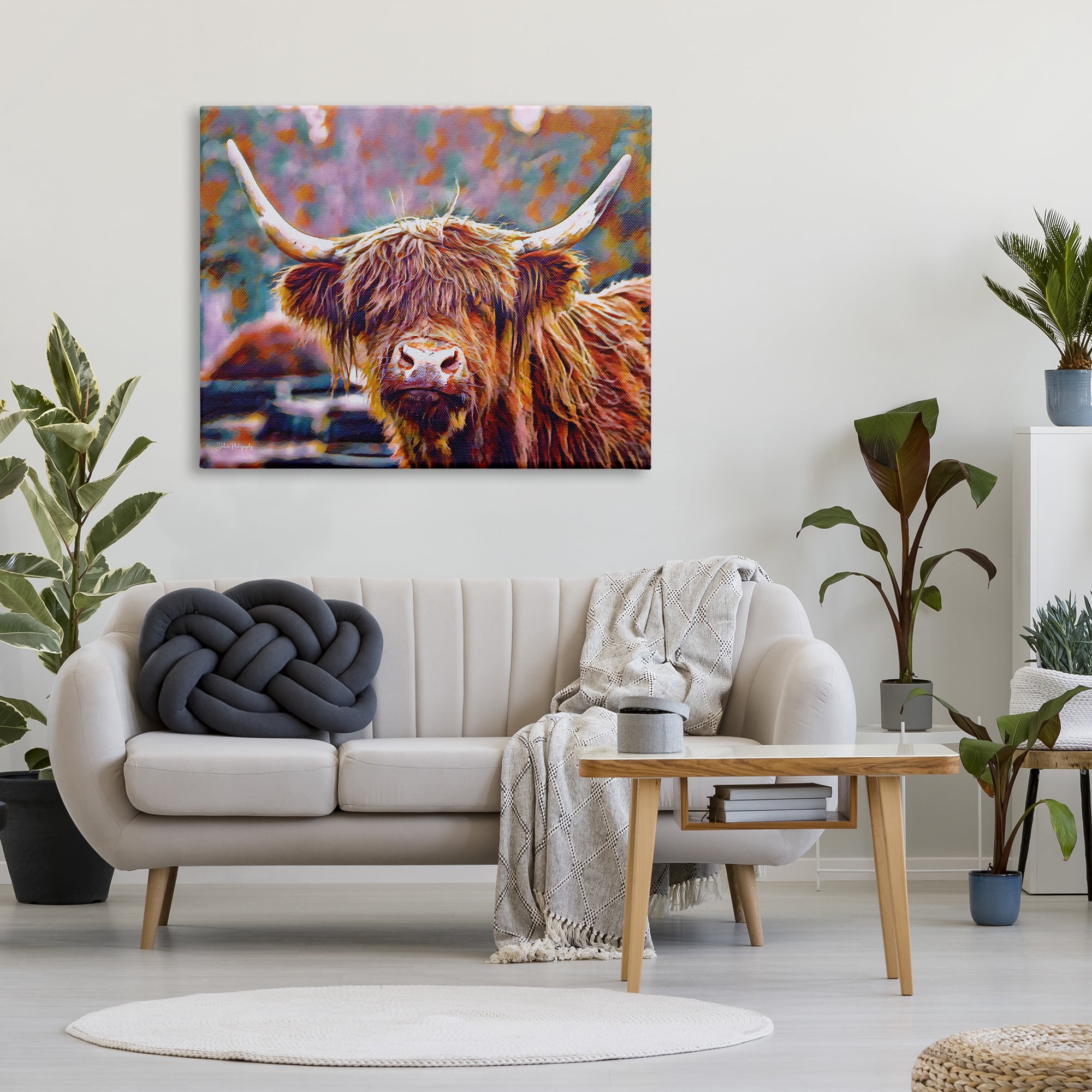 Stupell Industries Highland Cattle Modern Portrait Animals & Insects Photography Gallery Wrapped Canvas Print Wall Art, 48 x 36