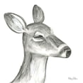 thumbnail image 2 of Wilson, Kelsey 15x15 White Modern Wood Framed Museum Art Print Titled - Watercolor Pencil Forest IX-Fawn, 2 of 4