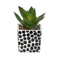 thumbnail image 4 of Kibo Mini Faux Succulent Dots Pot, 4 of 5
