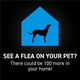 thumbnail image 4 of Prevención de pulgas y garrapatas para perros pequeños NEXTSTAR 3 dosis, 4 of 5
