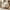 White, variant on Oversized Accent Chair,Upholstered Living Room Chairs Single Sofa Chair with Walnut Legs,Curved handrail,Green