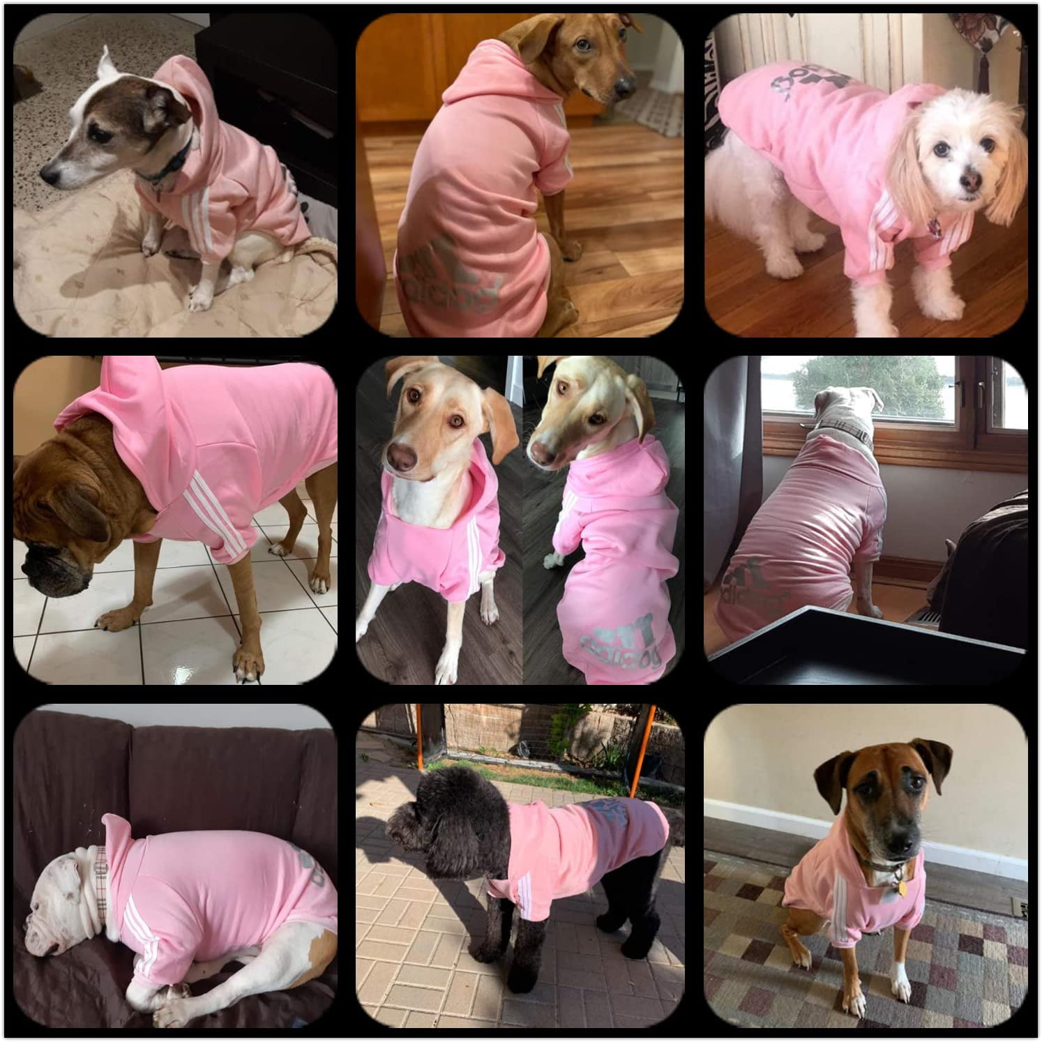 Rdc Pet Apparel Trudz PET Large Dog Hoodies Cotton Jacket Sweat Shirt Coat from 3XL to 9XL for Large Dog Fleece Basic Hoodie Sweater 