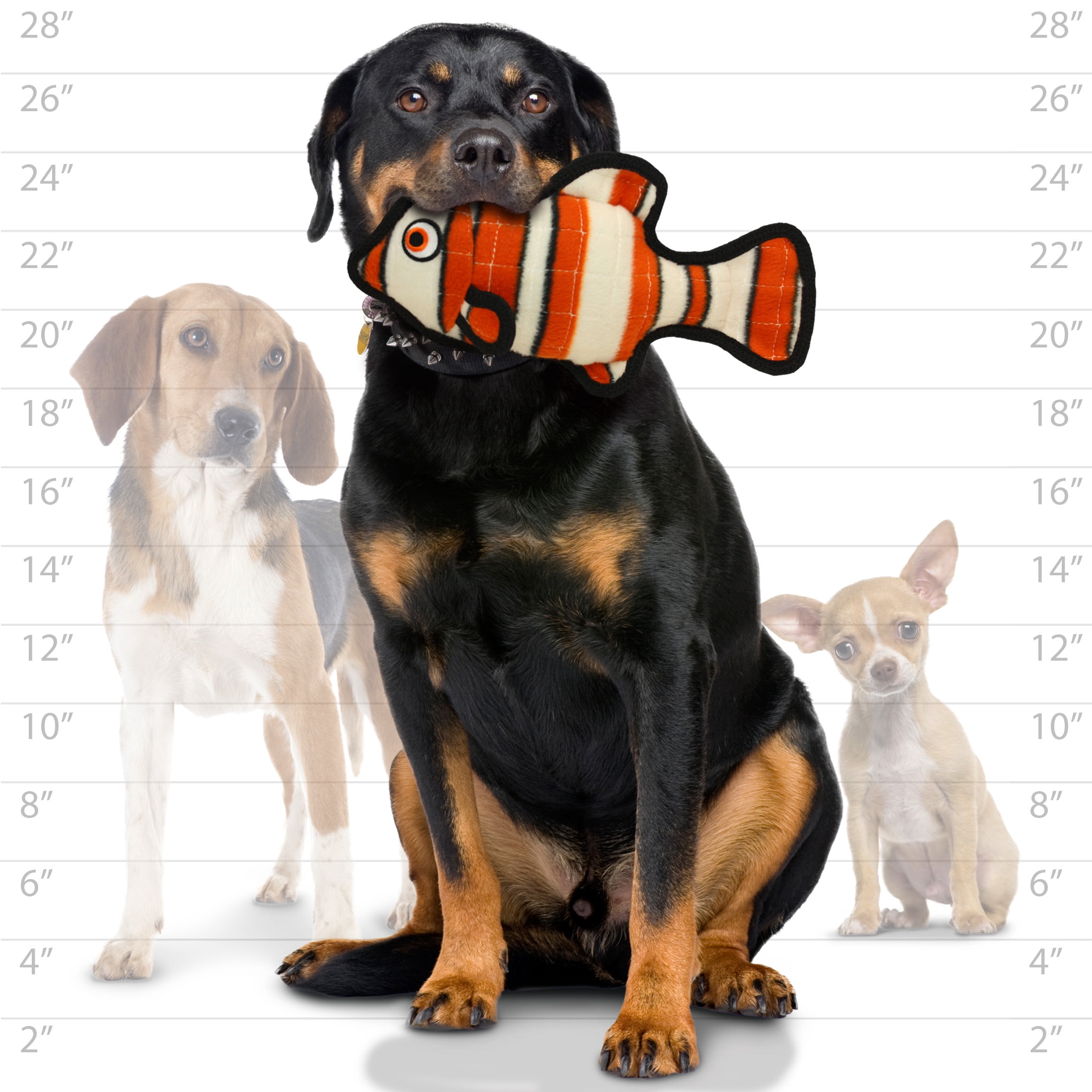 Tuffy Ocean Creature Fish Orange and Stingray Durable Plush Squeaky Dog Toy, 2 Pack
