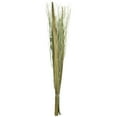 thumbnail image 6 of 40" Handmade Tall Floral Bouquet Dried Plant Natural Foliage Branch Bouquet with Grass Stems, by DecMode, 6 of 7