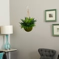 thumbnail image 5 of Nearly Natural 13" Agave and Maiden Hair Artificial Plant in Hanging Basket, Green, 5 of 5