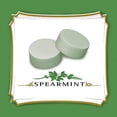 thumbnail image 3 of Altoids Spearmint Curiously Strong Mints, 1.76 oz. Tins (Pack of 6), 3 of 7