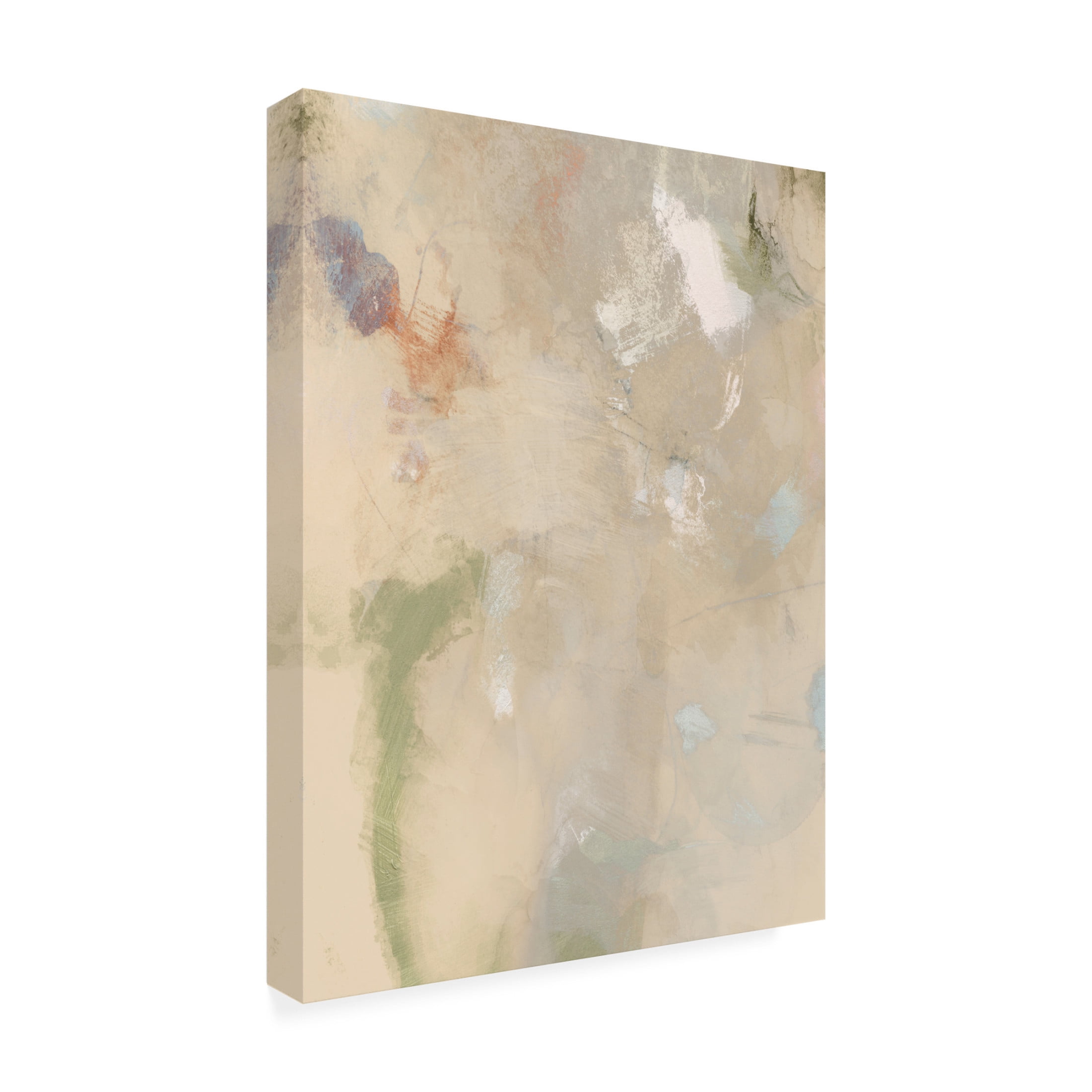 Trademark Fine Art Victoria Barnes  Muted Pastel IV Canvas Wall Art