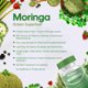 thumbnail image 5 of Cápsulas de polvo de moringa Quitmood: 800 mg de polvo de moringa puro y rico en nutrientes: un superalimento antioxidante verde natural, 5 of 5
