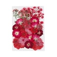 thumbnail image 4 of Flores prensadas secas, hojas prensadas, flores secas de boda, flores reales para manualidades de resina, manualidades de relleno de jarrones, manualidades florales, marcapáginas Estilo B BLESIY Flores secas prensadas, 4 of 8