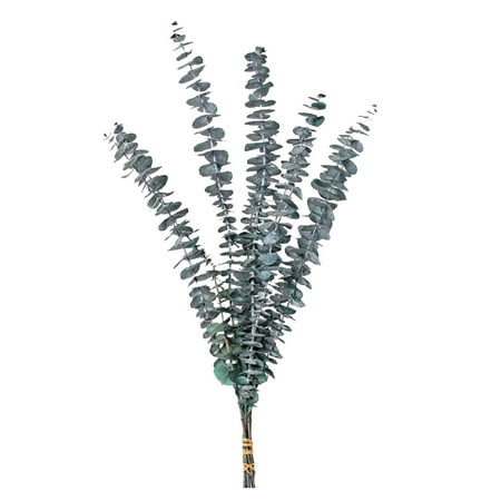 

DBYLXMN Baby Breath Bouquet A Bunch Of Five Preserved For Bathing Natural Flower Shower Supplies Dried Branches Large For Home The Flower Processing Color Shall Be Subject To The Actual