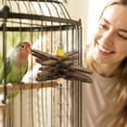 thumbnail image 5 of Bird Shredding Toy Hanging Chew Activity for Small Parrots Budgies Conures Cage Enrichment and Play,A-11cm, 5 of 6