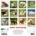 Willow Creek Press, Puppy Playmates 2025 Wall Calendar