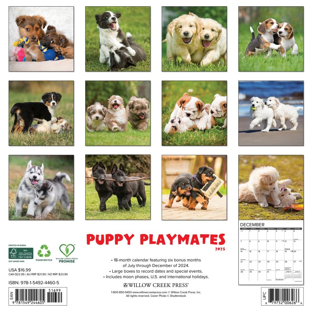 Willow Creek Press, Puppy Playmates 2025 Wall Calendar - Walmart.com