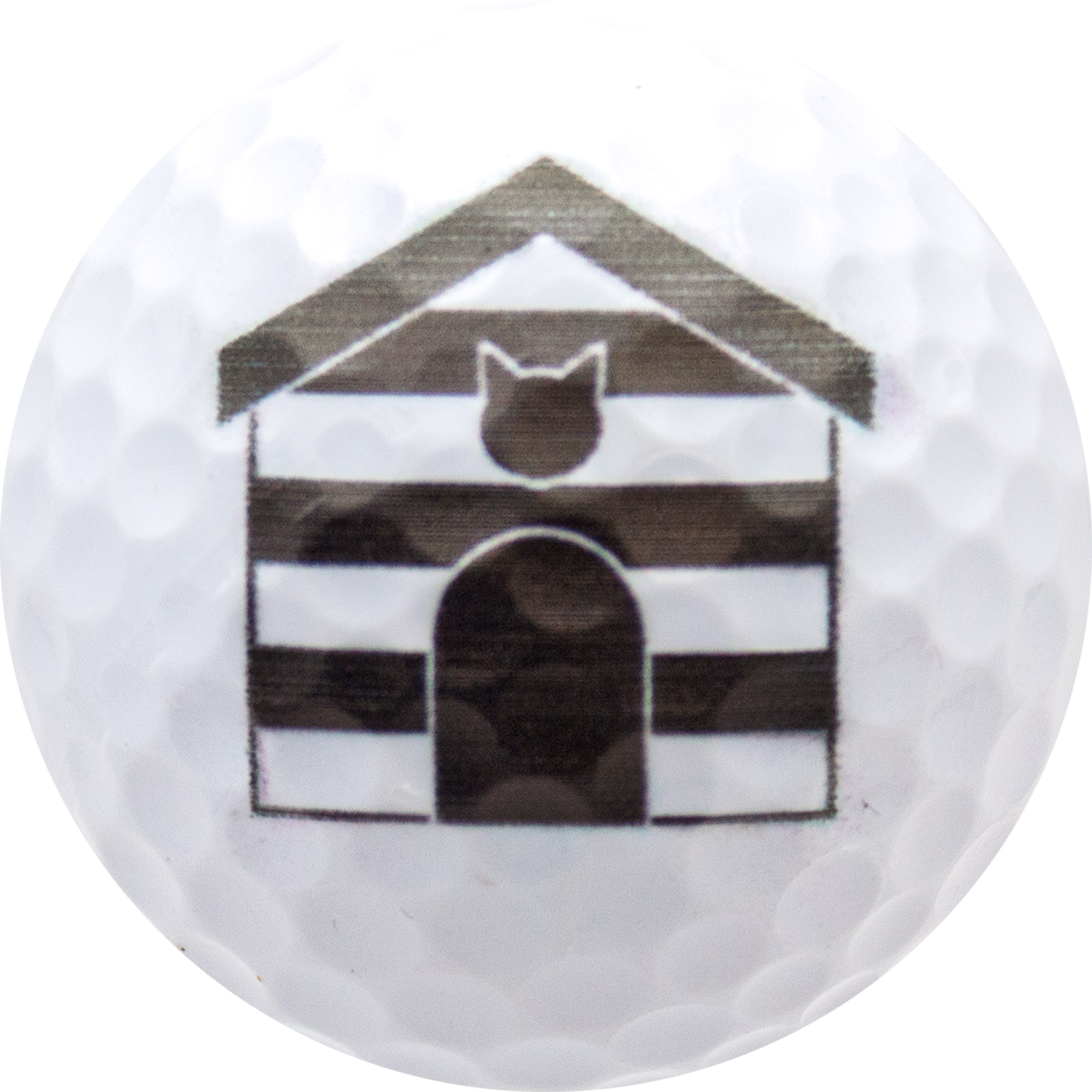 Cat Lover Golf Balls, 12 Pack by GBM GOLF