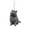 C!, variant on Cat Christmas Ornament - Realistic 2D Cats Ornaments For Christmas Tree Decor - Acrylic Lifelike Kitten Ornament Gifts For Cat Lovers Women & Men Pet Memorial Keepsake Home Decor