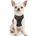 thumbnail image 1 of Rabbitgoo Arnés para Perros, Arnés para Mascotas sin Tirones con 2 Clips para Correa, Chaleco para Perros Acolchado Suave y Ajustable, Chaleco Oxford Reflectante para Mascotas sin asfixia con asa de f, 1 of 4