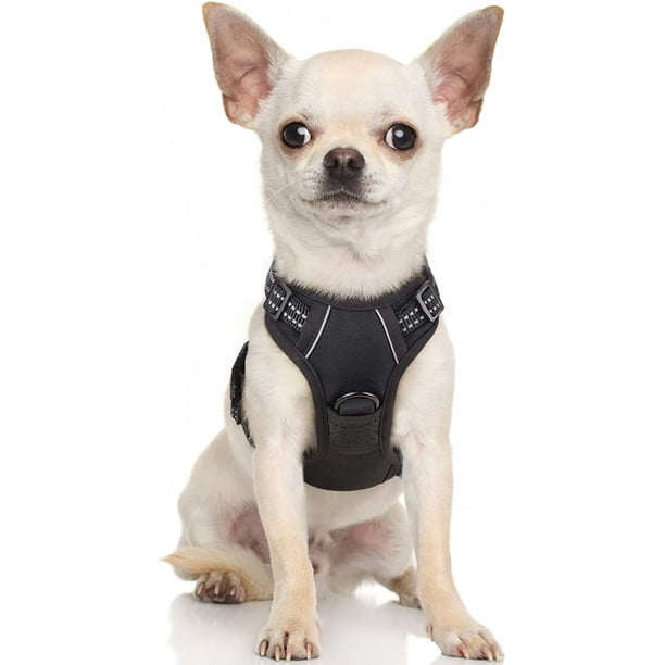 Rabbitgoo Arnés para Perros, Arnés para Mascotas sin Tirones con 2 Clips para Correa, Chaleco para Perros Acolchado Suave y Ajustable, Chaleco Oxford Reflectante para Mascotas sin asfixia con asa de f