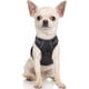 thumbnail image 1 of Rabbitgoo Arnés para Perros, Arnés para Mascotas sin Tirones con 2 Clips para Correa, Chaleco para Perros Acolchado Suave y Ajustable, Chaleco Oxford Reflectante para Mascotas sin asfixia con asa de f, 1 of 4