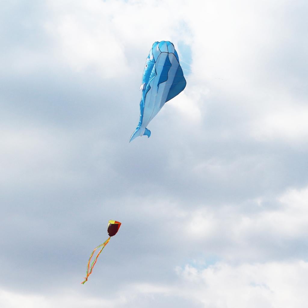 Dualoai Large Blue Dolphin Parafoil Kite 47 Inches Wide Perfect for Beach Park Outdoor