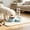Blue, variant on Pet Feeder, 2 In 1 Integrated Water And Food Station, Blue Dual Purpose Dish Suitable For Cats And Daily Feeding Water Bowl