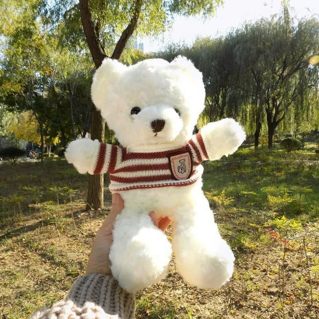 Ourson en Peluche Mignon Poupée Ours Poupée Attrape-Peluche Poupée pour Enfants Cadeau d'Anniversaire