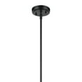 thumbnail image 4 of 42199BKCS Kichler Lighting Everly - 1 Light Pendant-15.25 Inches Tall and 10.25 Inches Wide-Black Finish-Clear Seeded Glass Color, 4 of 5