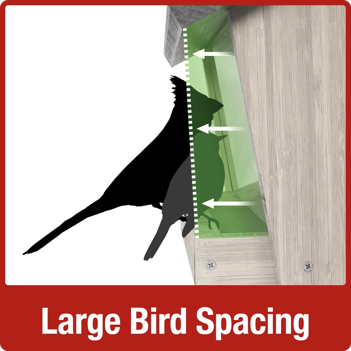 Cedar - 6QT Hopper bird feeder w/suet