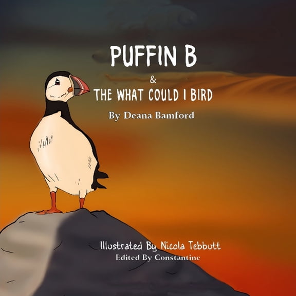 Puffin B: and the 'What Could I' Bird, (Paperback)