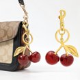 thumbnail image 3 of DESIGNICE Purse Charms,Stylish Charm Texture Purse Charms,Glossy Resin Enclosure Bag Charms for Handbags,Style1, 3 of 4