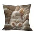thumbnail image 2 of Rijanmt Easter Realistic Fluffy Bunny Comfort Pillow Case,Easter Throw Pillow Case With Flower Bunny And Eggs,Pillowcase Square Cushion Covers For Sofa Bed Couch,Spring Home Decor,17.71*17.71",C, 2 of 6