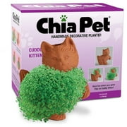 Chia Pet Cuddly Kitten Handmade Decorative Planter
