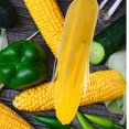 thumbnail image 4 of Artificial Corn Model Lifelike Simulation Fake Corn Prop 5Pcs for Kitchen Display, 4 of 5