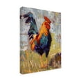 thumbnail image 2 of Jennifer Stottle Taylor 'Crow Magnum' Outdoor Canvas, 2 of 3