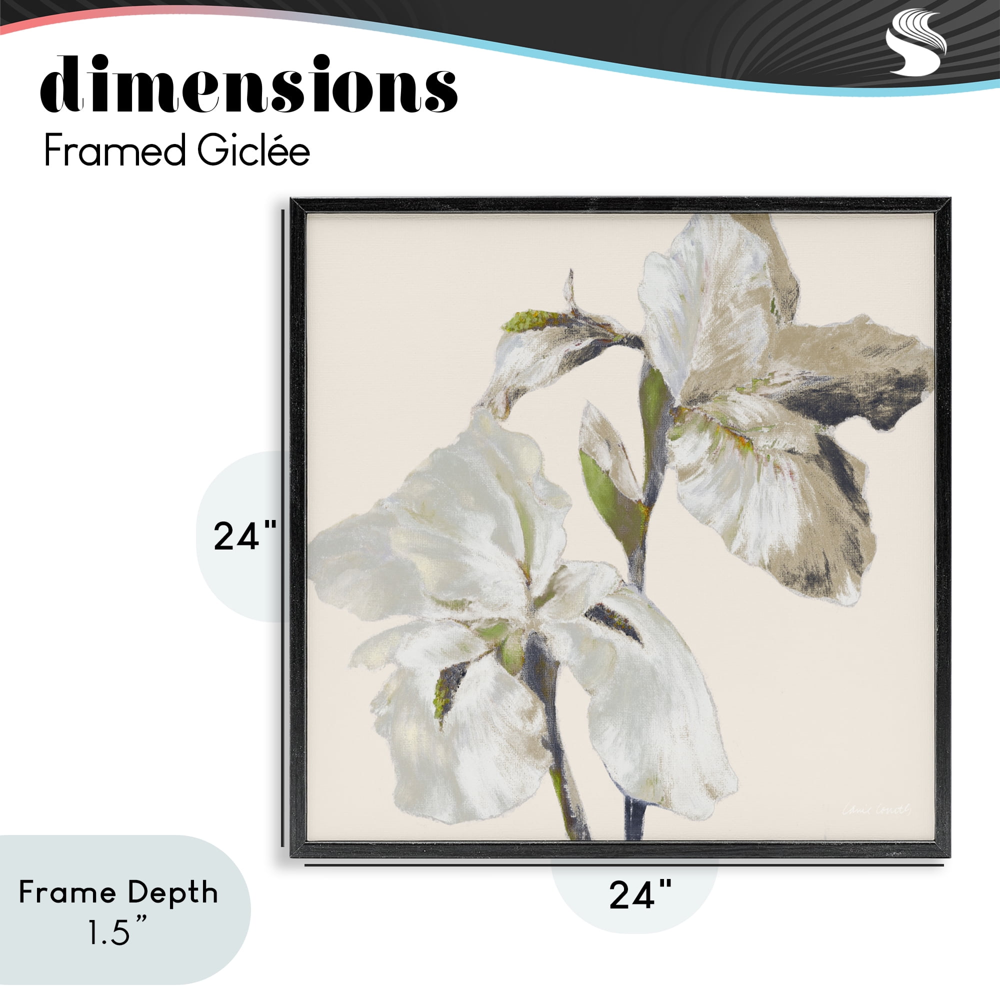 Stupell Industries Irises Soft Beige Black Framed Giclee Art, design by Lanie Loreth