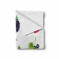 thumbnail image 2 of Fruit Soft Flannel Fleece Throw Blanket, Group of Fresh Ripe Berries Summer Season Healthy Options Agricultural Pattern, Cozy Plush for Indoor and Outdoor Use, 60" x 80", Multicolor, by Ambesonne, 2 of 6