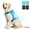 Blue, variant on Dog Cooling Vest Harness for Medium Large Dogs,4 Replaceable Ice Packs Cooling Jacket for Summer Sun Protection,UV Adjustable Reflective Dog Clothes for Outdoor Walking