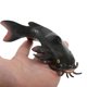 thumbnail image 3 of Imitated Catfish Ornament Fake Fish Toy Creative Children Toy Home Decoration, 3 of 4