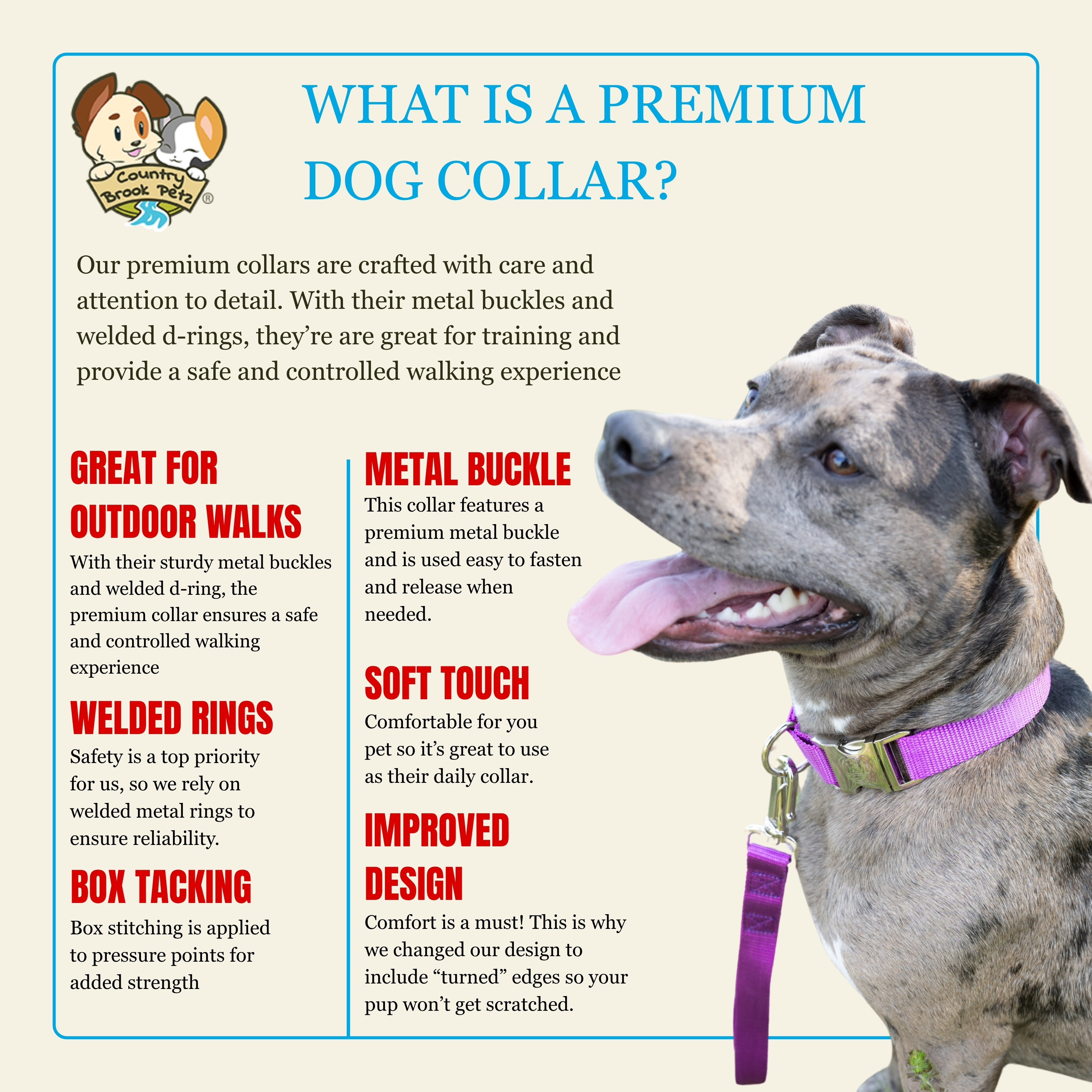 Country Brook Petz® Premium Nylon Dog Collar with Metal Buckle for Small Medium Large Breeds (Extra Large, 1 Inch, Bright Purple)