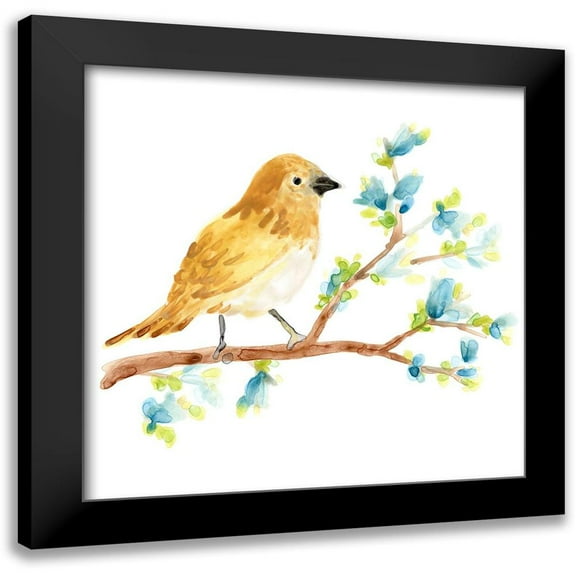 Vess, June Erica 12x12 Black Modern Framed Museum Art Print Titled - Springtime Songbirds III