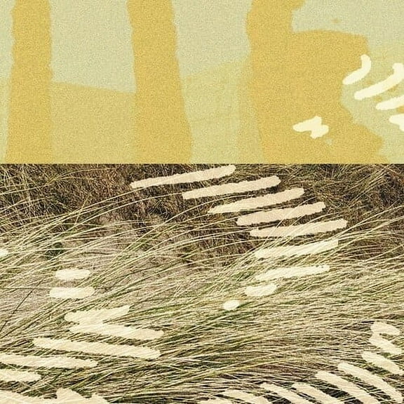 Parris - Terrapin - Music & Performance - Vinyl
