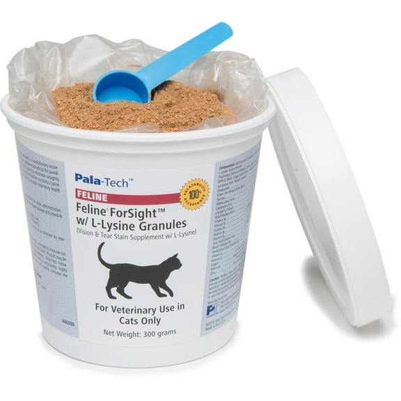 Forsight L-Lysine Granules (300 gm)