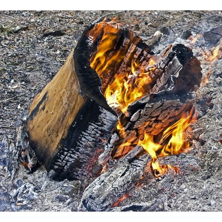 Canvas Print Burning Fire Log Fire Burn Fireplace Firewood Stretched Canvas 10 x