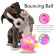 thumbnail image 2 of Pelota de activación de salto para perros - Música LED que rebota juguetes de pelota para mascotas, al azar Likrtyny  juguetes de los niños, 2 of 6