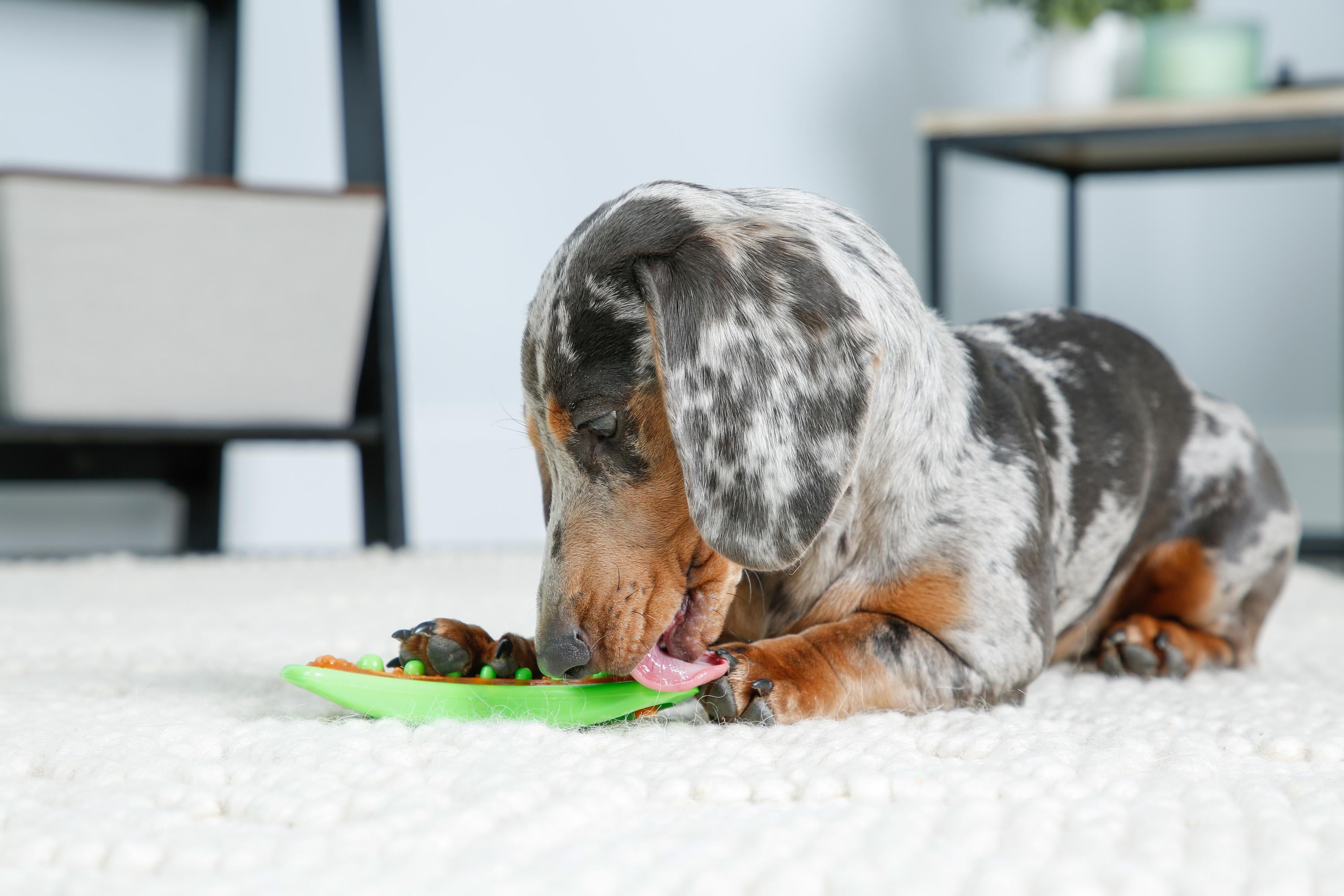 Hartz chew store n clean dentatreat