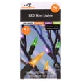 thumbnail image 2 of Indoor/Outdoor 50-Count LED Mini String Lights, Multicolor, 9.5', Halloween by Way To Celebrate, 2 of 7